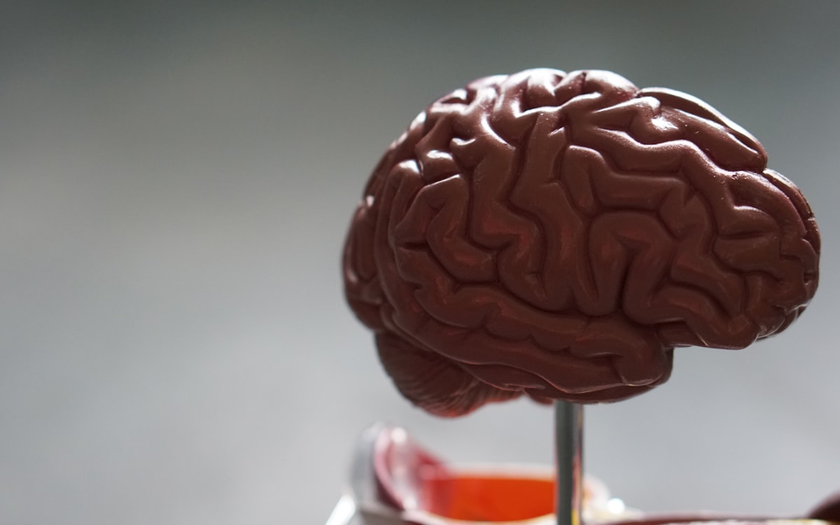Neuroplasticitate și cercetare creier 2025–2026: ilustrație ghid sănătate mintală și psihiatrie online România, TeleMind; context științific articol, Dr. Lavinia Dobrescu.